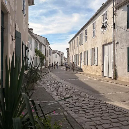 Cap Sur ,maisons Centre-ville Jardin Melange Art Fleurs * 라플로트