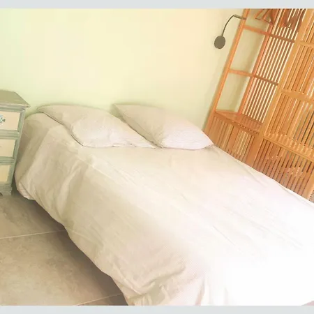 Cap Sur ,maisons Centre-ville Jardin Melange Art Fleurs