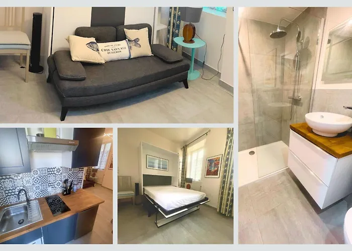 Semesterbostad Cap Sur ,maisons Centre-ville Jardin Melange Art Fleurs La Flotte