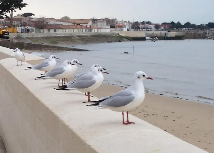 Cap Sur ,maisons Centre-ville Jardin Melange Art Fleurs Semesterbostad *